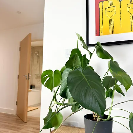 Stokes Croft - Whole - Centre - Serviced Bs1 *