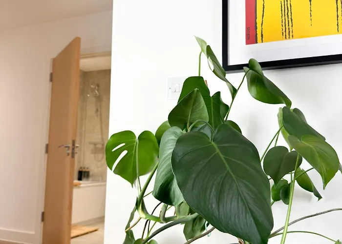 Stokes Croft - Whole - Centre - Serviced Bs1 *